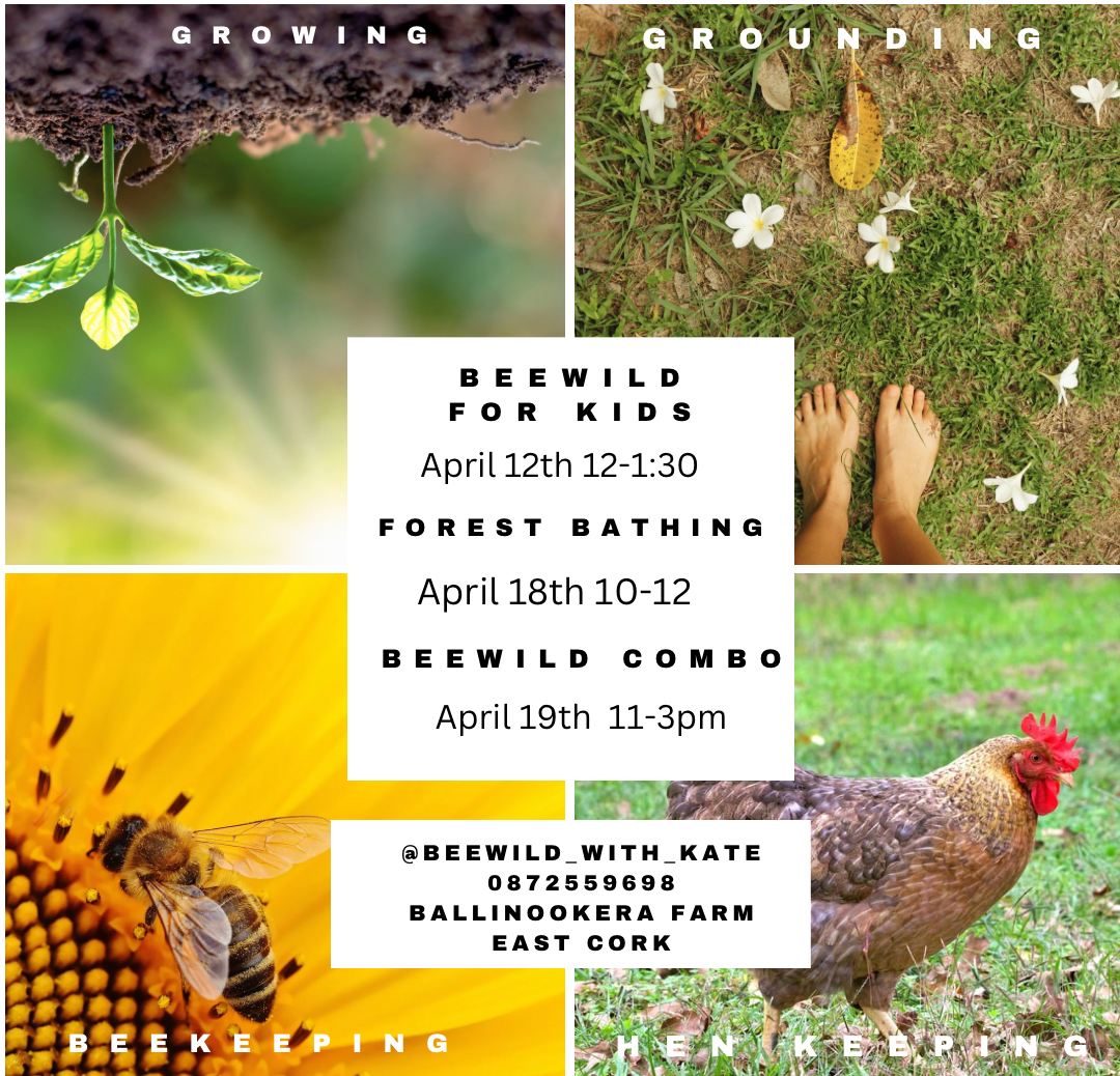 Beekeeping, hen keeping, forest bathing
