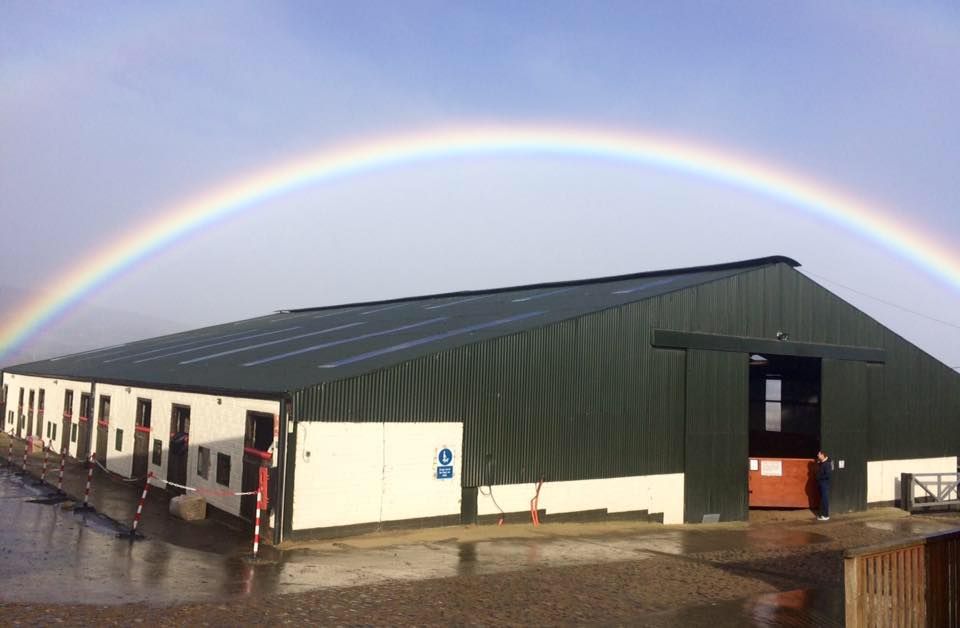 Carrickmines Equestrian Centre
