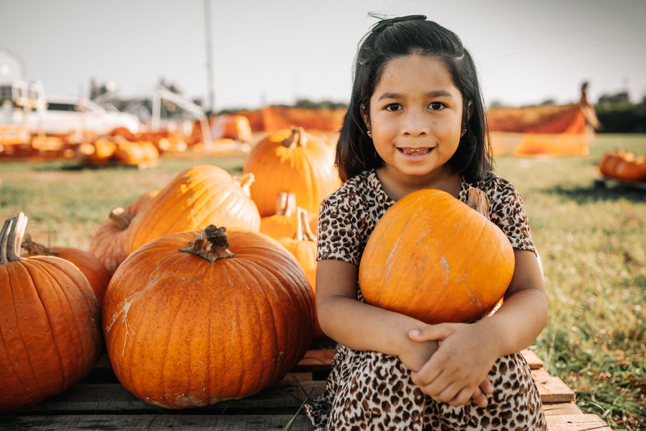 Samhain at Killarney Pumpkin Farm
