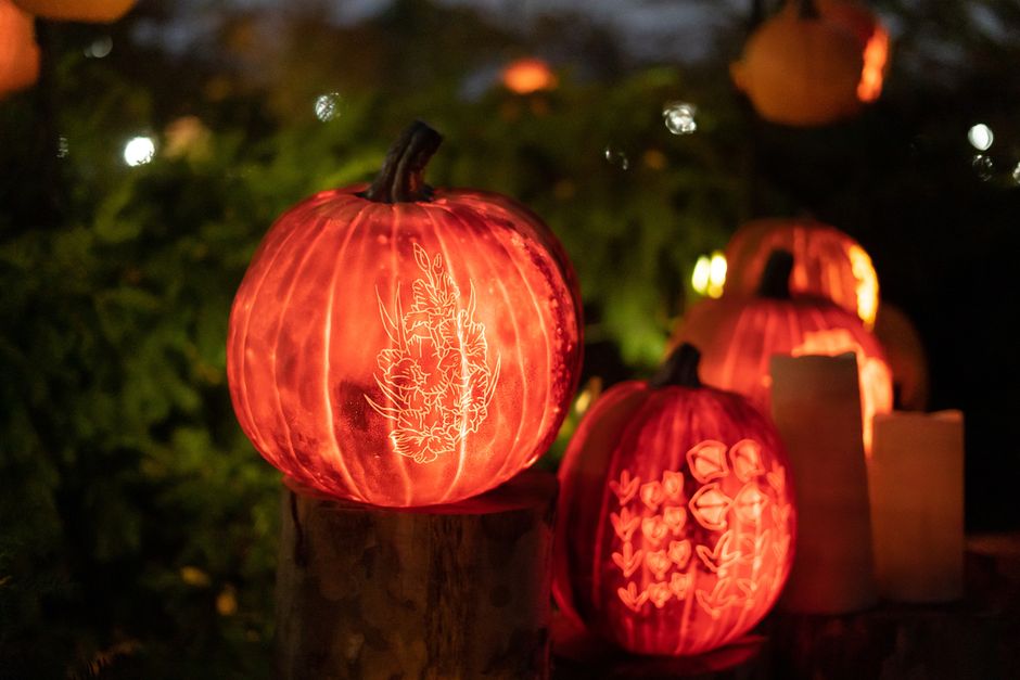 Halloween at Clonfert Farm