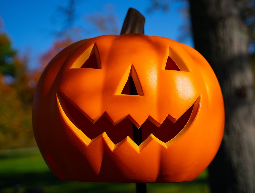 Howling Halloween at Brigit's Garden