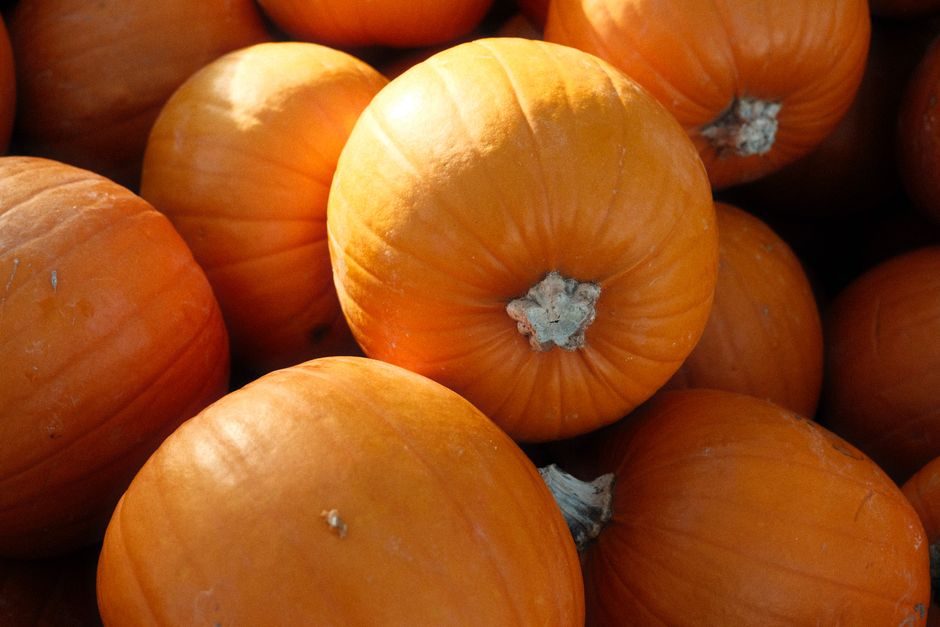 Samhain Scavenger Hunt at Knights and Conquests, Granard