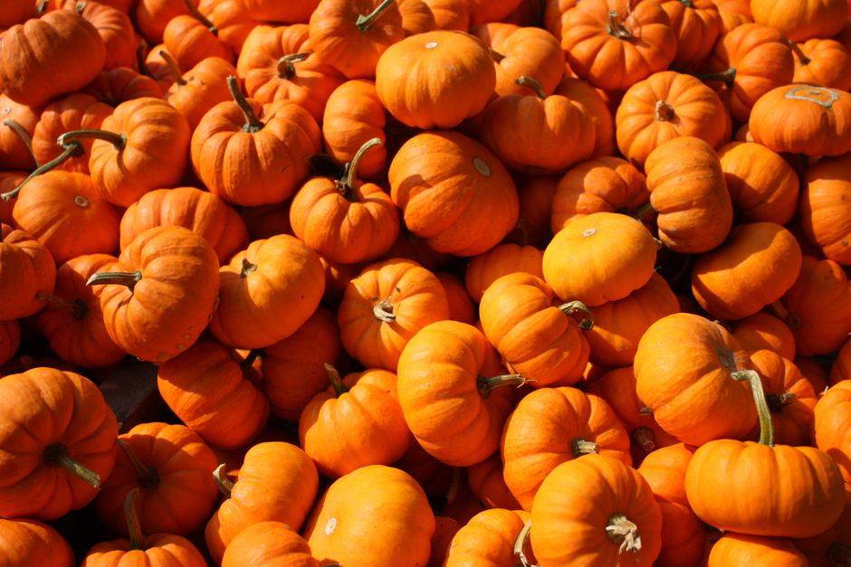 Samhain Chiarrai: A Kerry Halloween