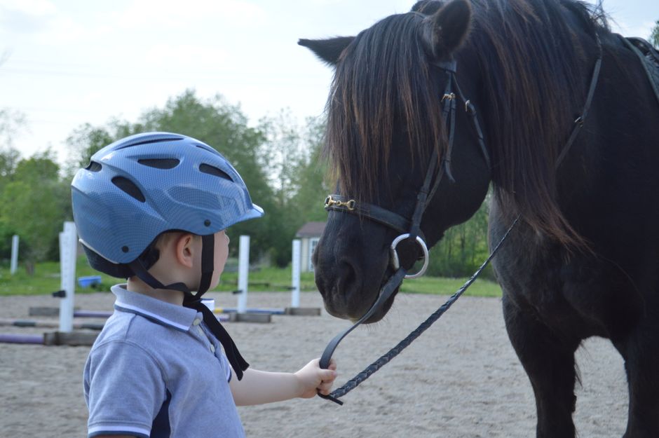 Kellystown Riding School