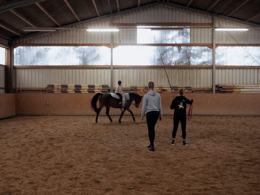 The Paddocks Riding Centre