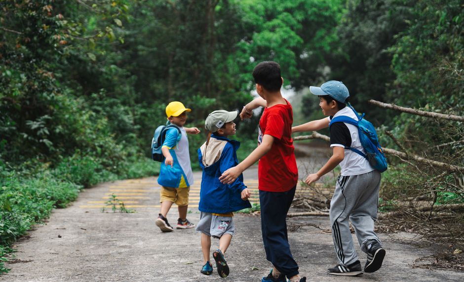 Rathmines Forest School