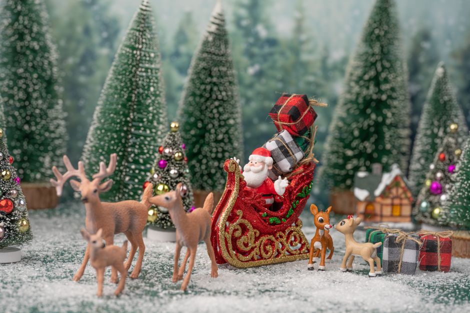 Visit Santa at Winterval, Waterford