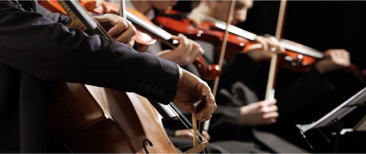 Orchestra For Adults in Cork