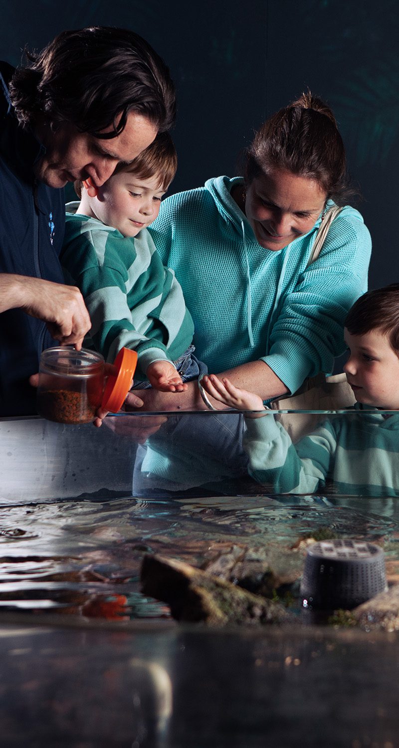 Galway Atlantaquaria - National Aquarium of Ireland