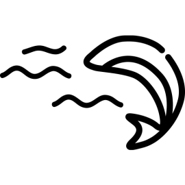 Achill Experience Aquarium & Museum logo