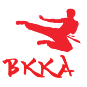 Ballinteer Kenpo Karate Club logo