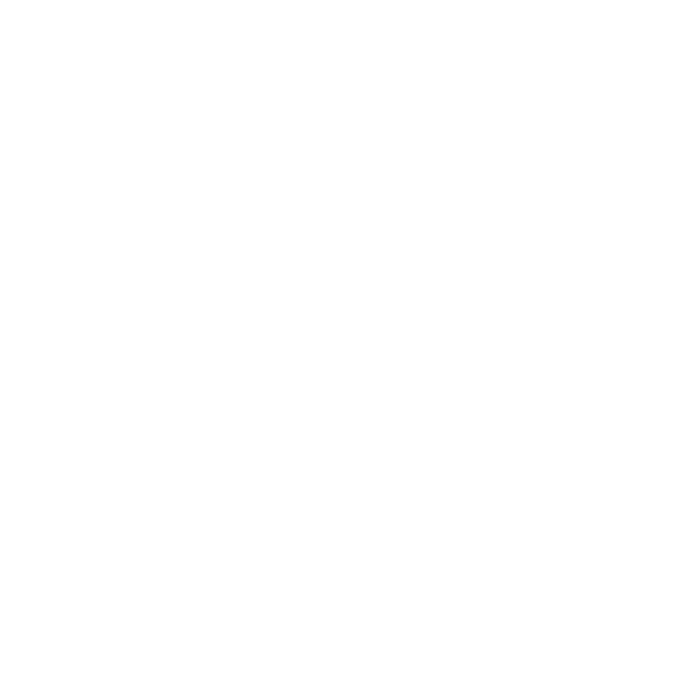 Blanchardstown Parent and Toddler Group logo