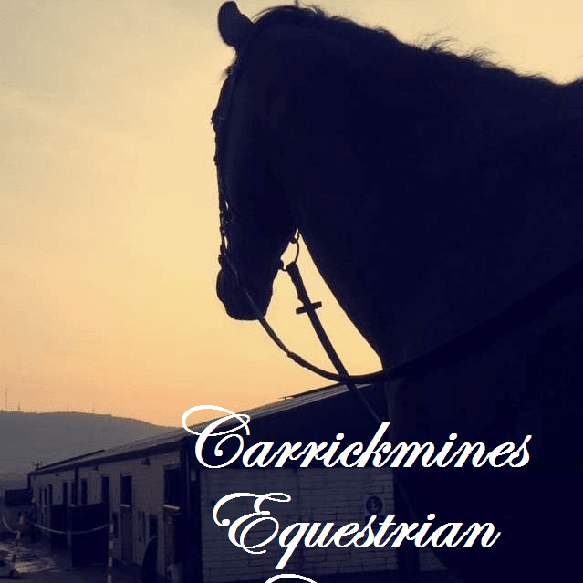 Carrickmines Equestrian Centre logo