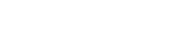Dlr Leisure logo