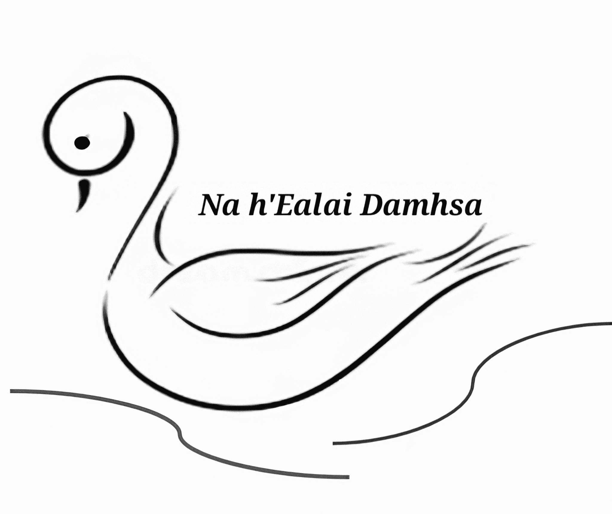 ISTD Ballet Classes for Kids Na hEalai Damhsa logo