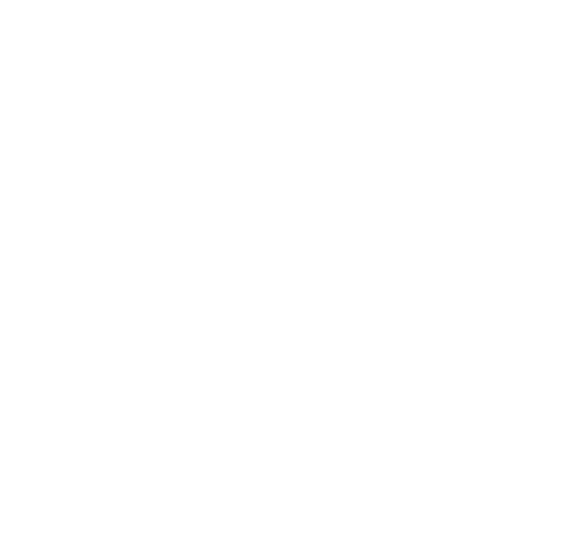 Leinster Rugby (Bank of Ireland Leinster Rugby Summer Camps) logo