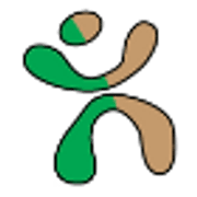Stay at home Irish Summer College logo