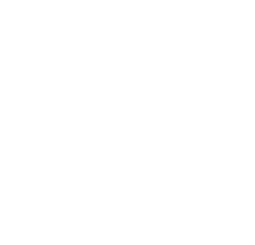 Swan Leisure logo